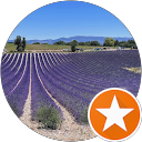 Foto de perfil Luciana Quaresma