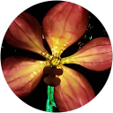 Foto de perfil Cláudia Adriano