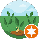 Foto de perfil Veggie VT